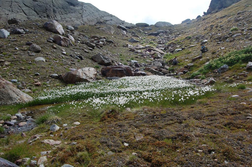 Appartamenti Welcome In Val Di Sole Casa Orti Ossana Εξωτερικό φωτογραφία