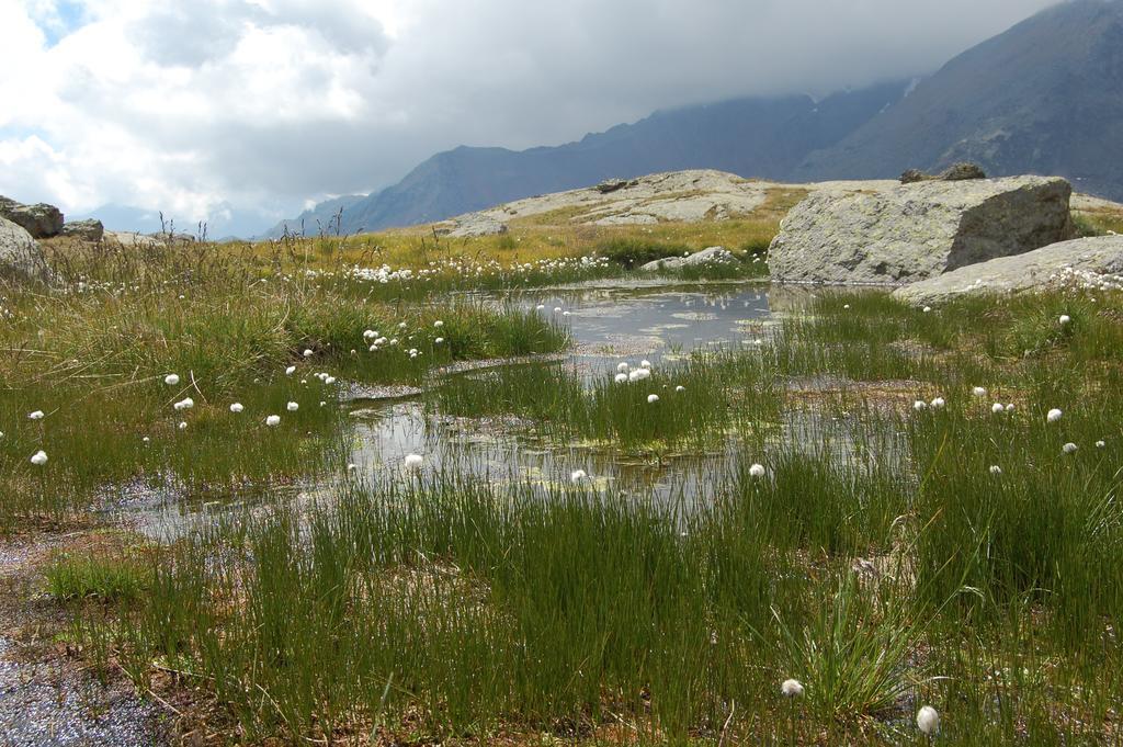 Appartamenti Welcome In Val Di Sole Casa Orti Ossana Εξωτερικό φωτογραφία